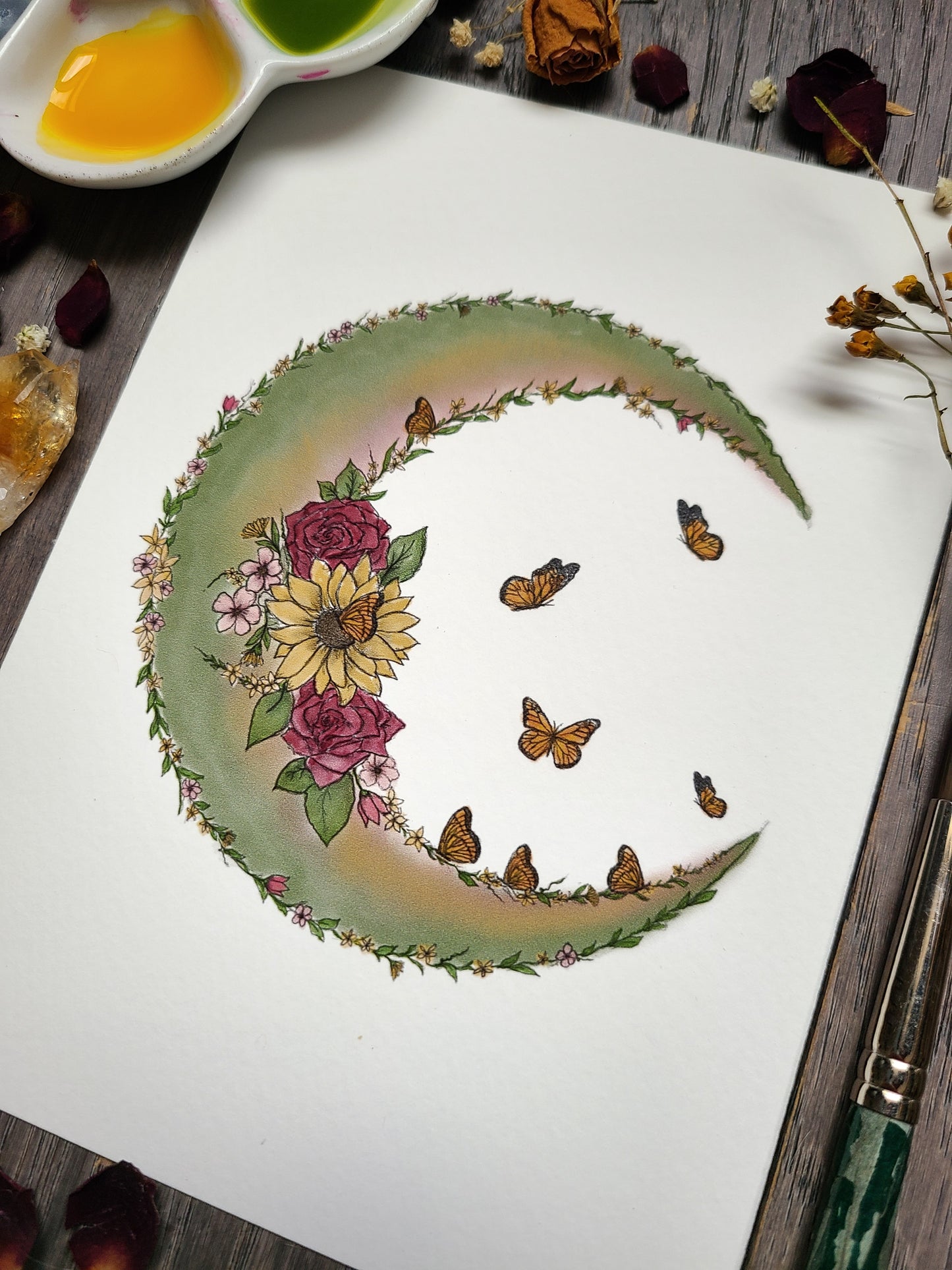 Follow the Butterflies