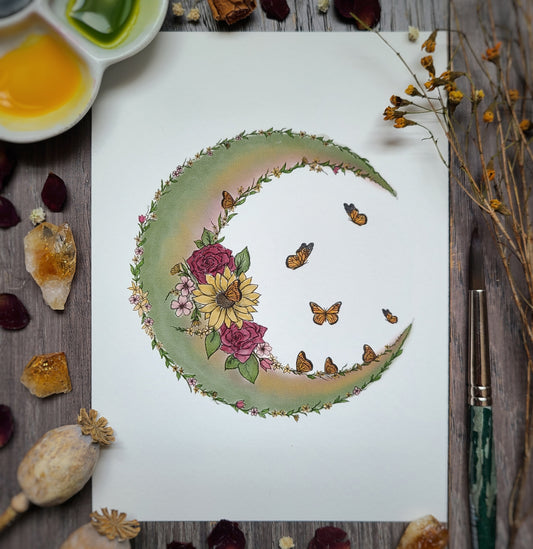 Follow the Butterflies