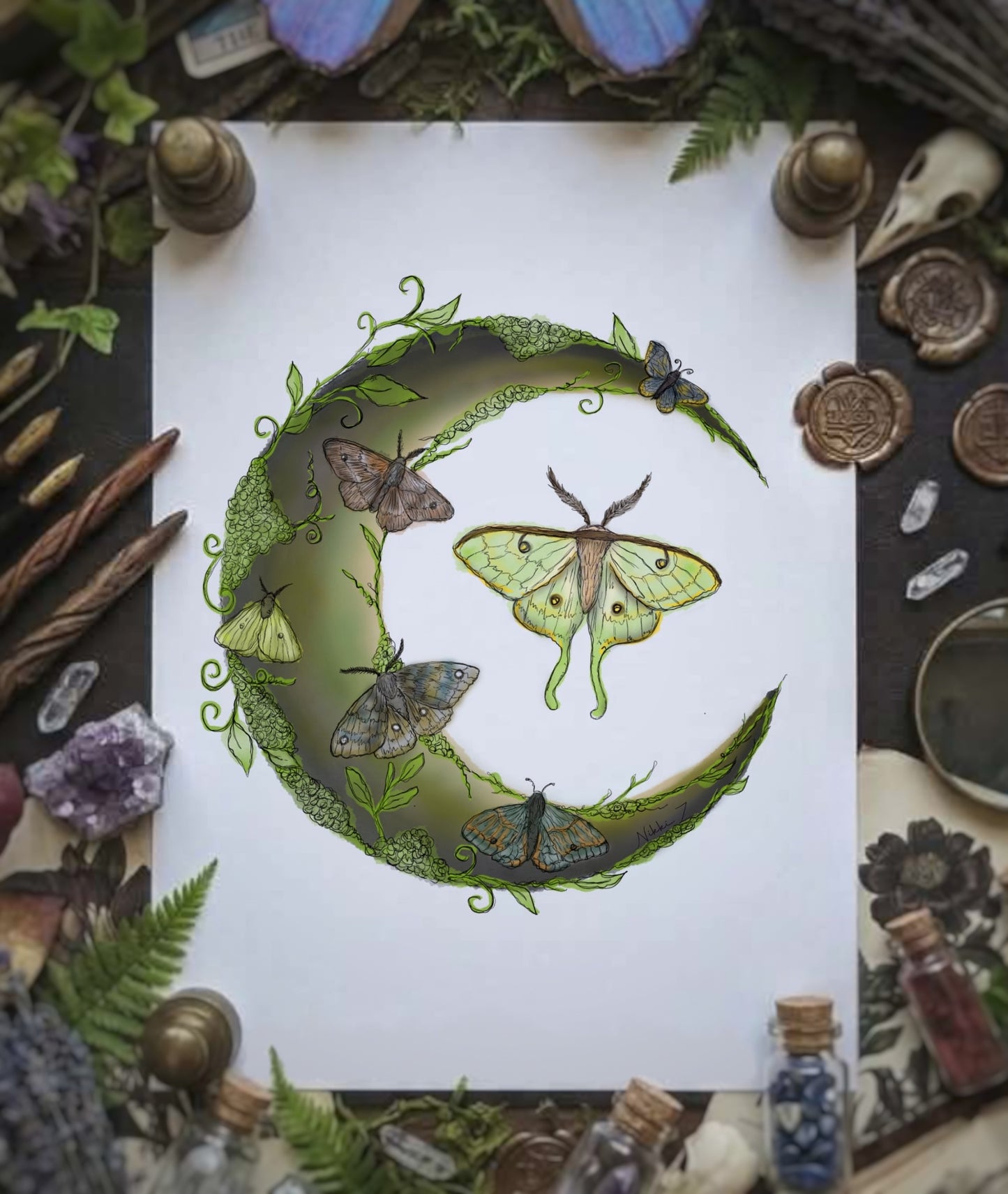 Moth Moon